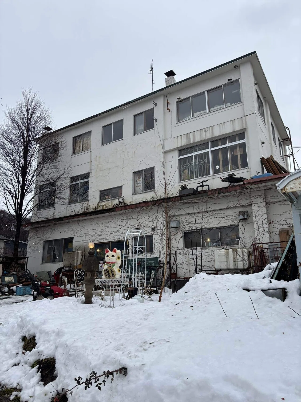 札幌市西区】住宅街に古物のワンダーランドがあるなんて！モノココ