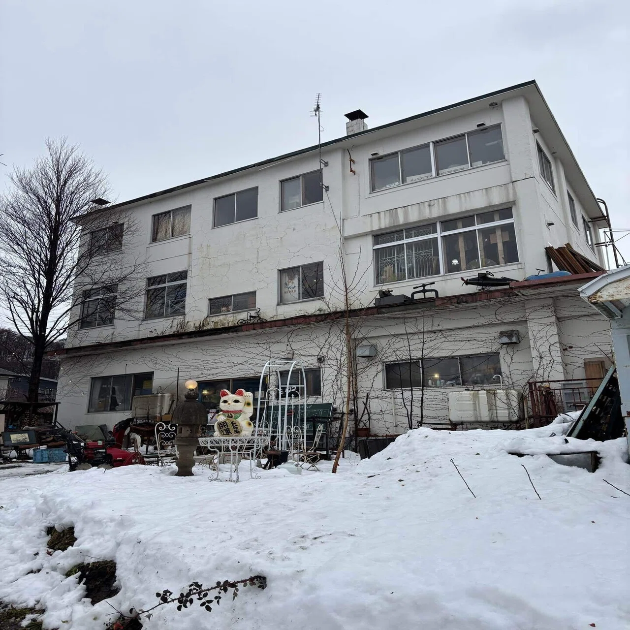 札幌市西区】住宅街に古物のワンダーランドがあるなんて！モノココ 
