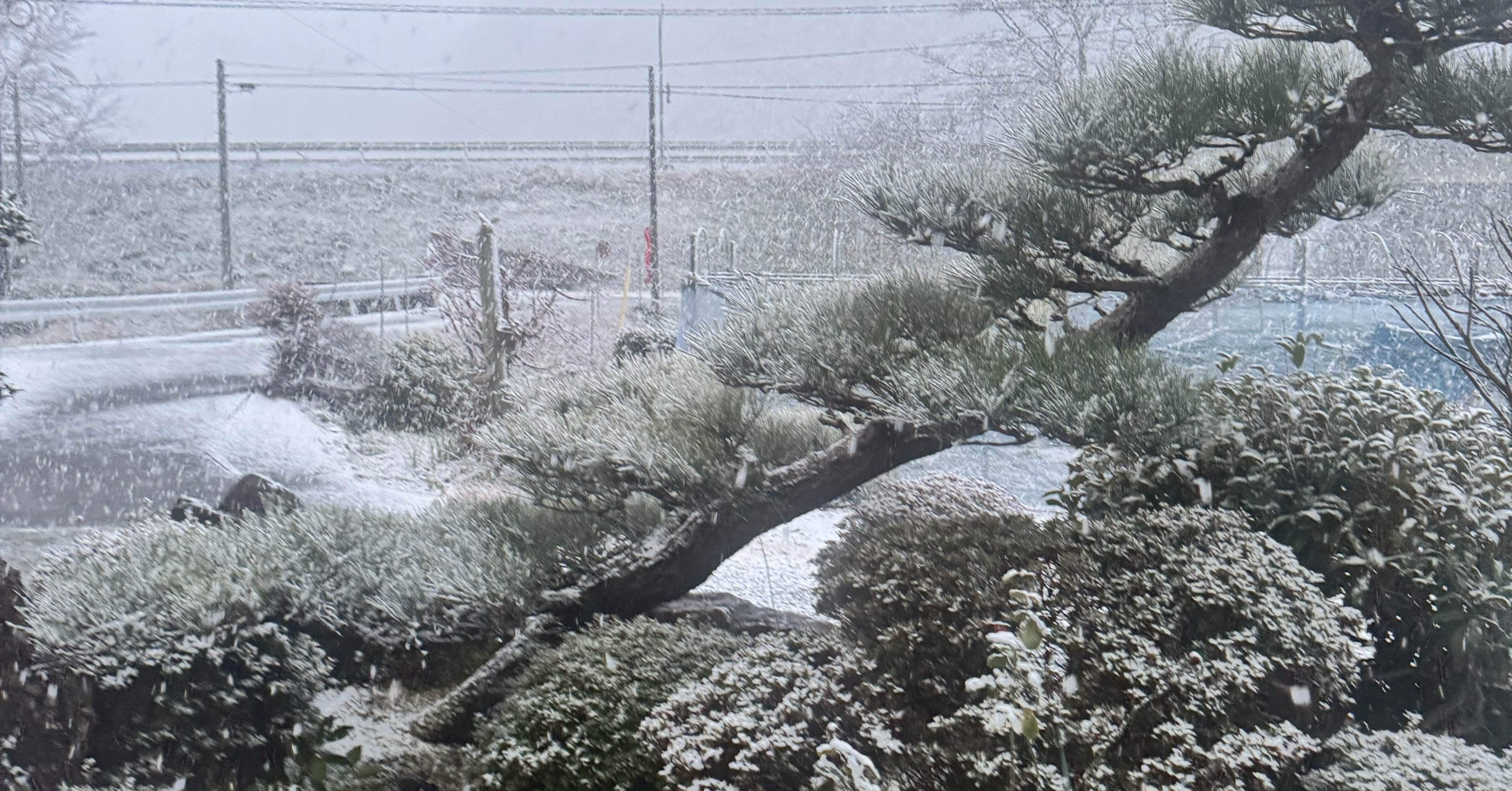 20260102 年始2日目🌱｜M