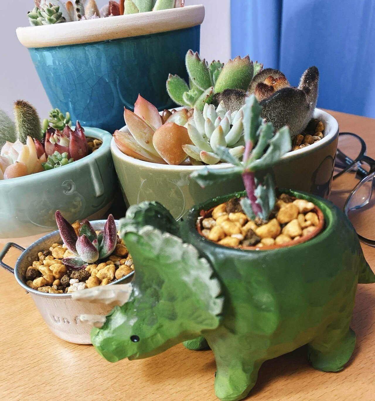 ささいな日記：植物がすき。｜とうどう