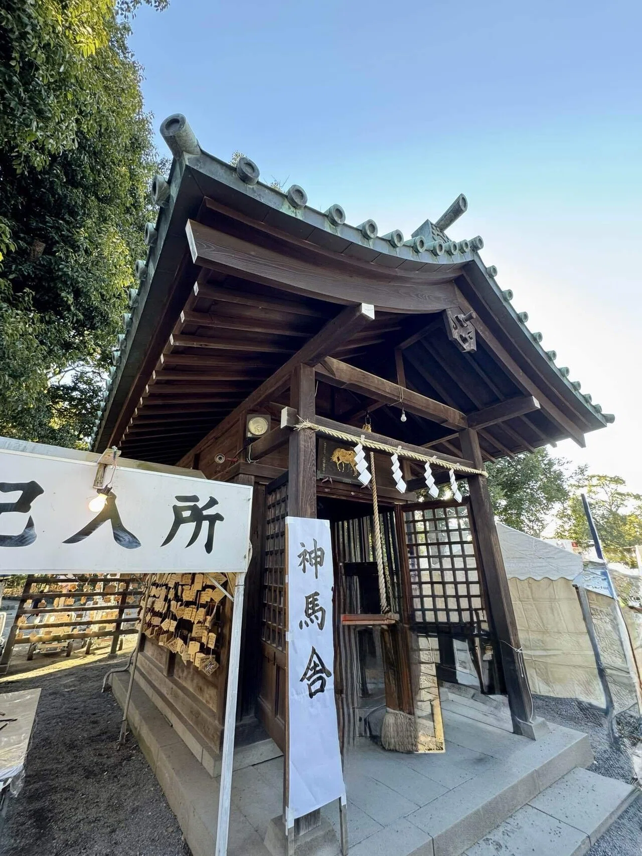 2026三島大社② 神馬舎｜福田博之