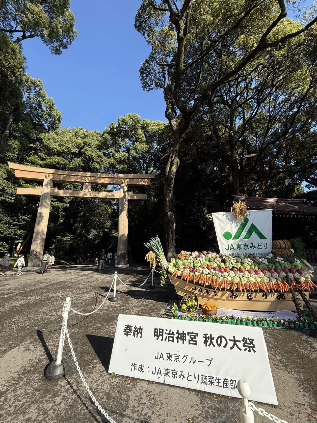 午年新年一月「生命の言葉」── 〝わするなよゆめ”に込められた想い