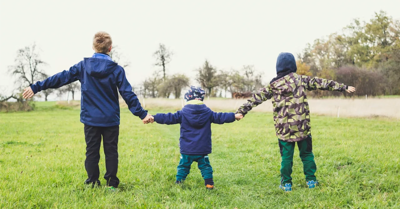 How Cognitive Development Affects Children's Moral Judgment and Self ...