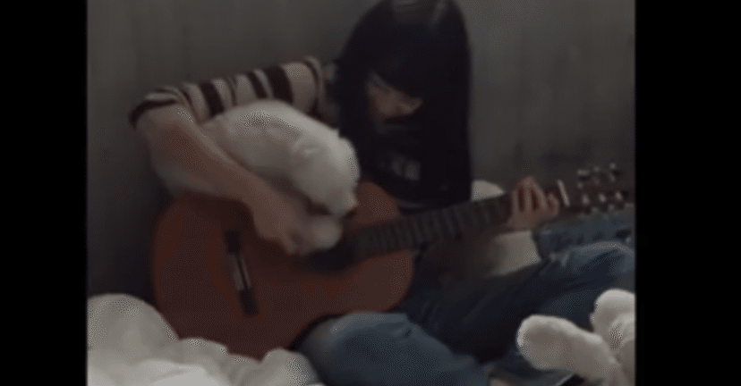 お別れの歌 がい Note
