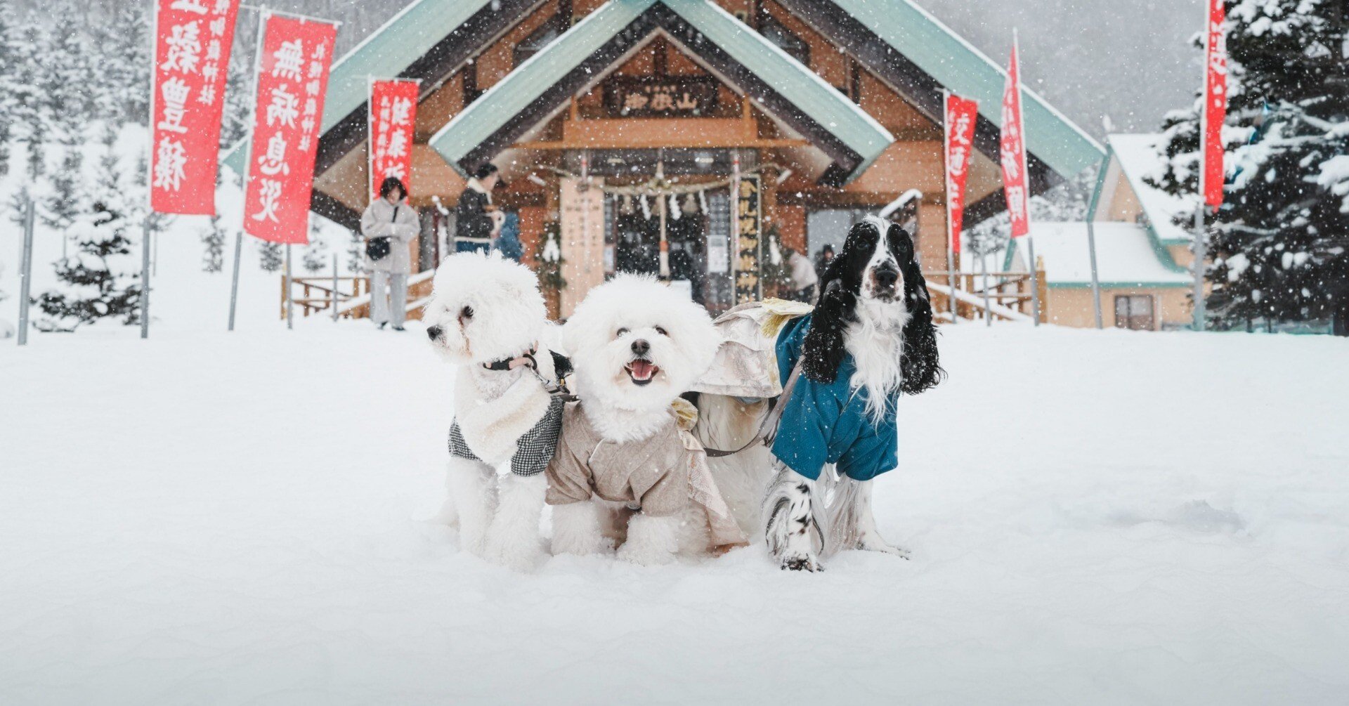 あけましておめでとうございます。今年の主役はもちろん…？｜オオサワラボ