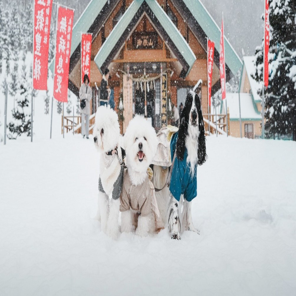 あけましておめでとうございます。今年の主役はもちろん…？｜オオサワラボ