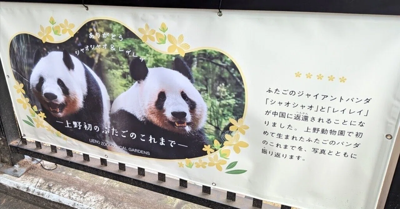 🐼 上野公園でパンダに会ってきた！｜ケイケイ