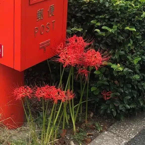 一木　葉