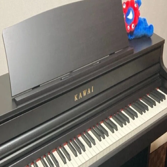 ピアノを習い始めて2週間で（お小遣いをはたいて）KAWAIの電子ピアノを