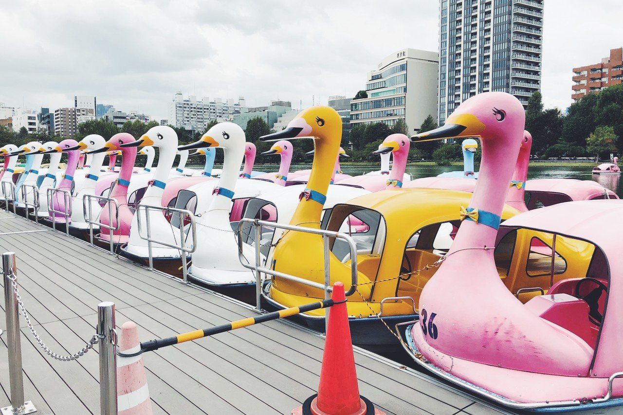 不忍池のスワンボート 1450 稲垣純也 Note