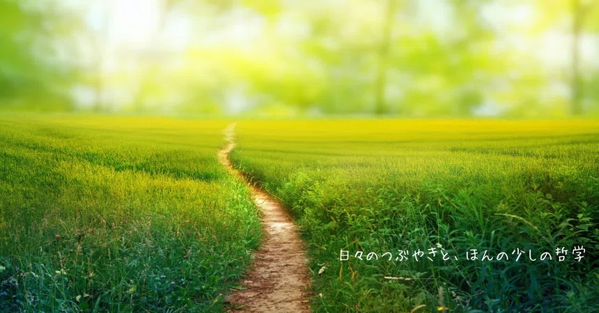What Is Kindness Examples #32 What kind of questions remain within you?|元池晶 | 元さん