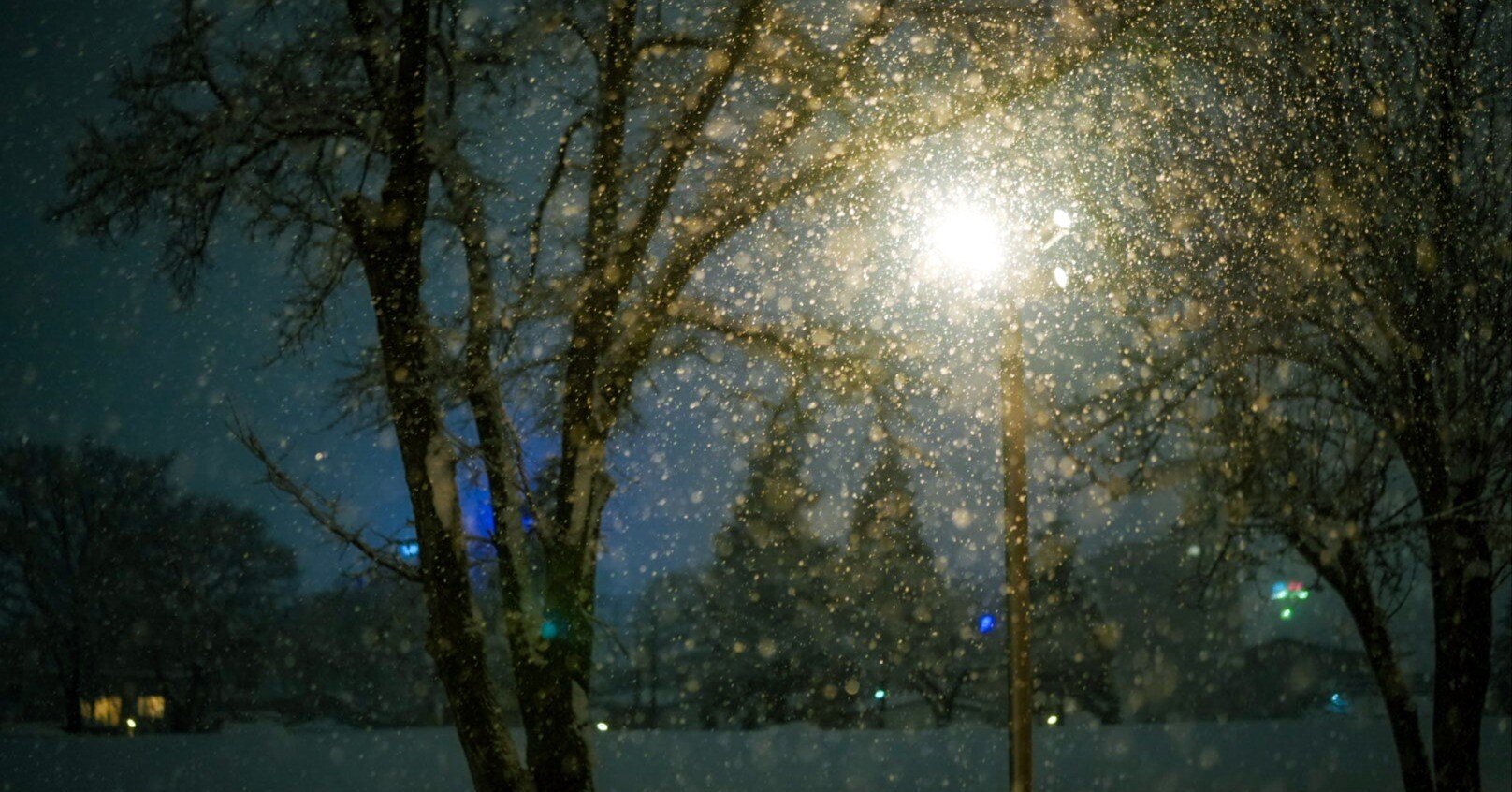 雪降る街に息づく音 20260103｜Masato Funamizu