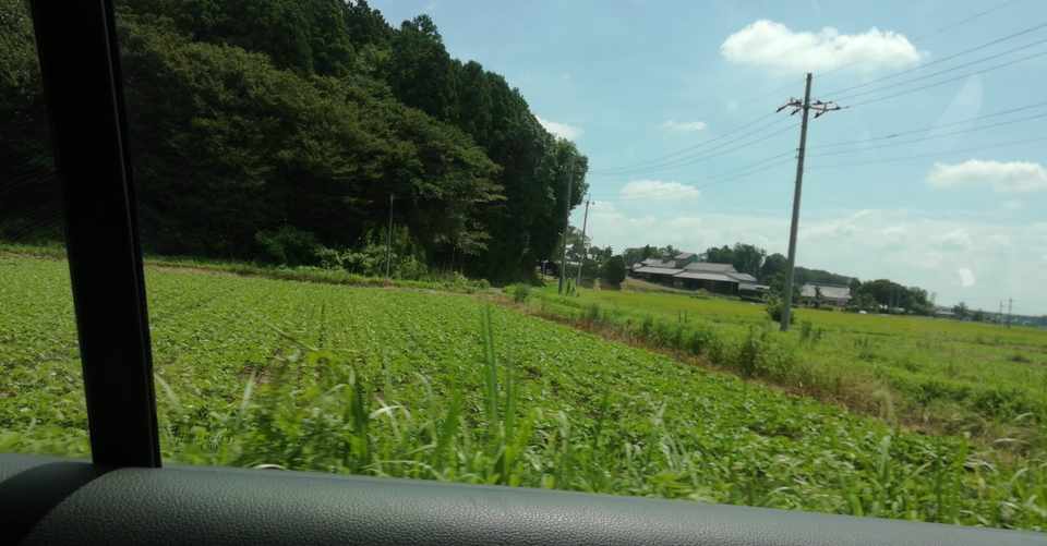 ストリートビューで 死んだ祖母に会いに行く シマ Note