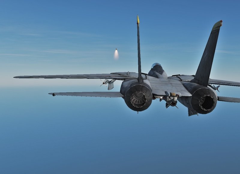 DCS WORLD F-14 TOMCAT AIM-54フェニックスのTWS発射ガイド