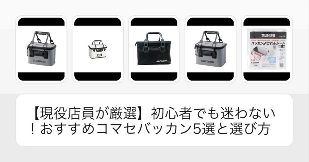 コマセバッカン キーパーバッカンのセット 初心者でも迷わない 