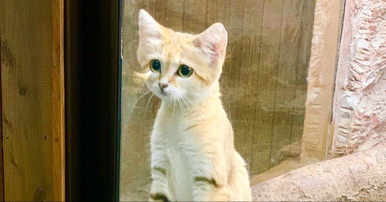 d690f6725e9270fc2b35ded679ae3f