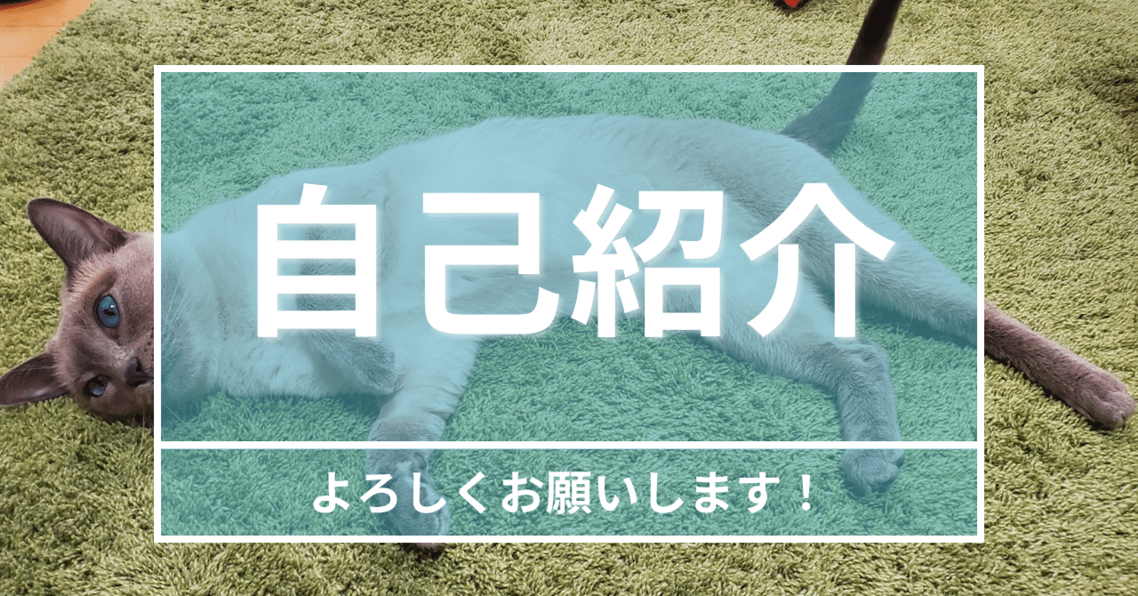 自己紹介｜しらたま＠FX