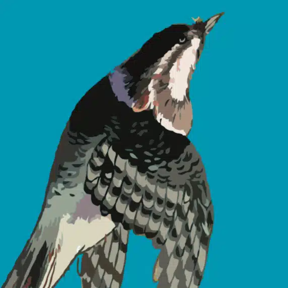 鳥。
