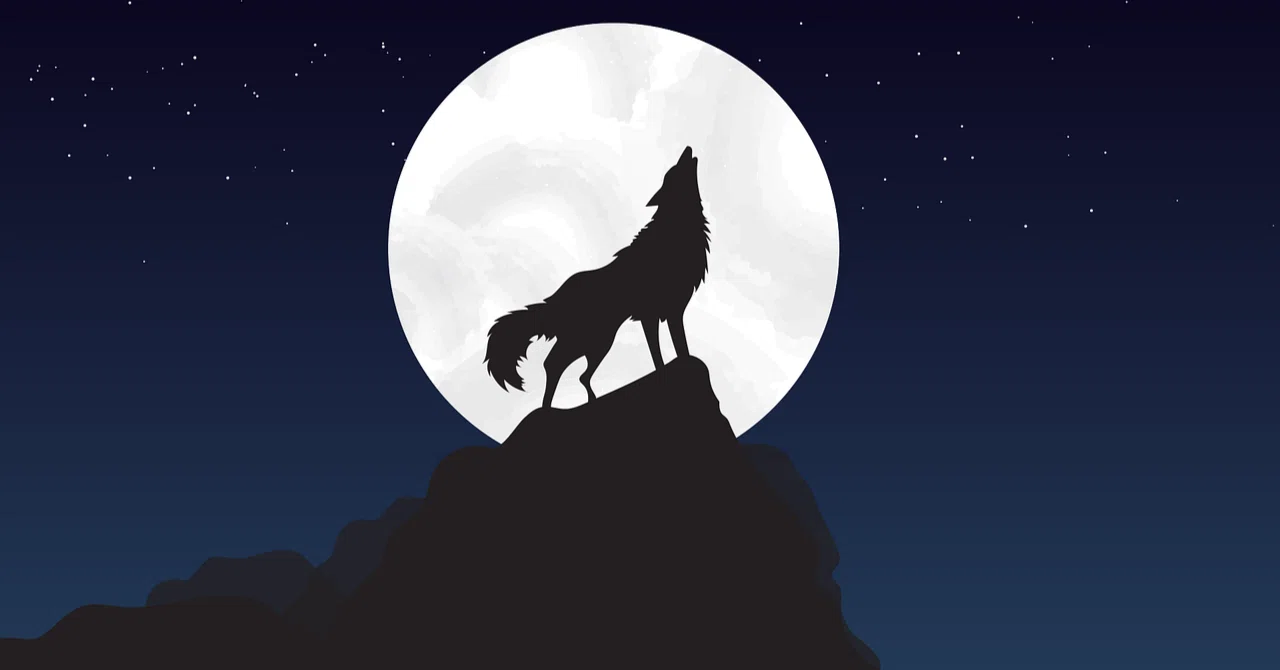 To You Who Have Worked Hard Alone — A Message for the Cancer Full Wolf ...
