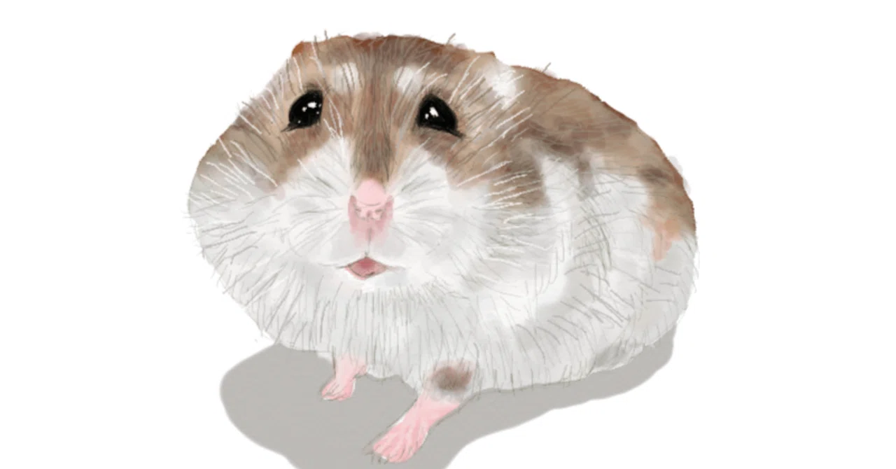 [German Oddity] 'Chubby Rat' Stuck in Manhole Cover, Desperate Rescue ...