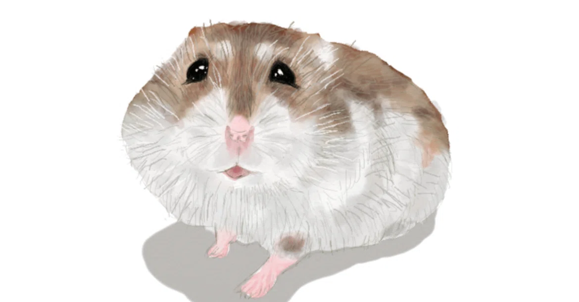 [German Oddity] 'Chubby Rat' Stuck in Manhole Cover, Desperate Rescue ...