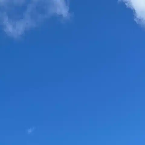 🌟