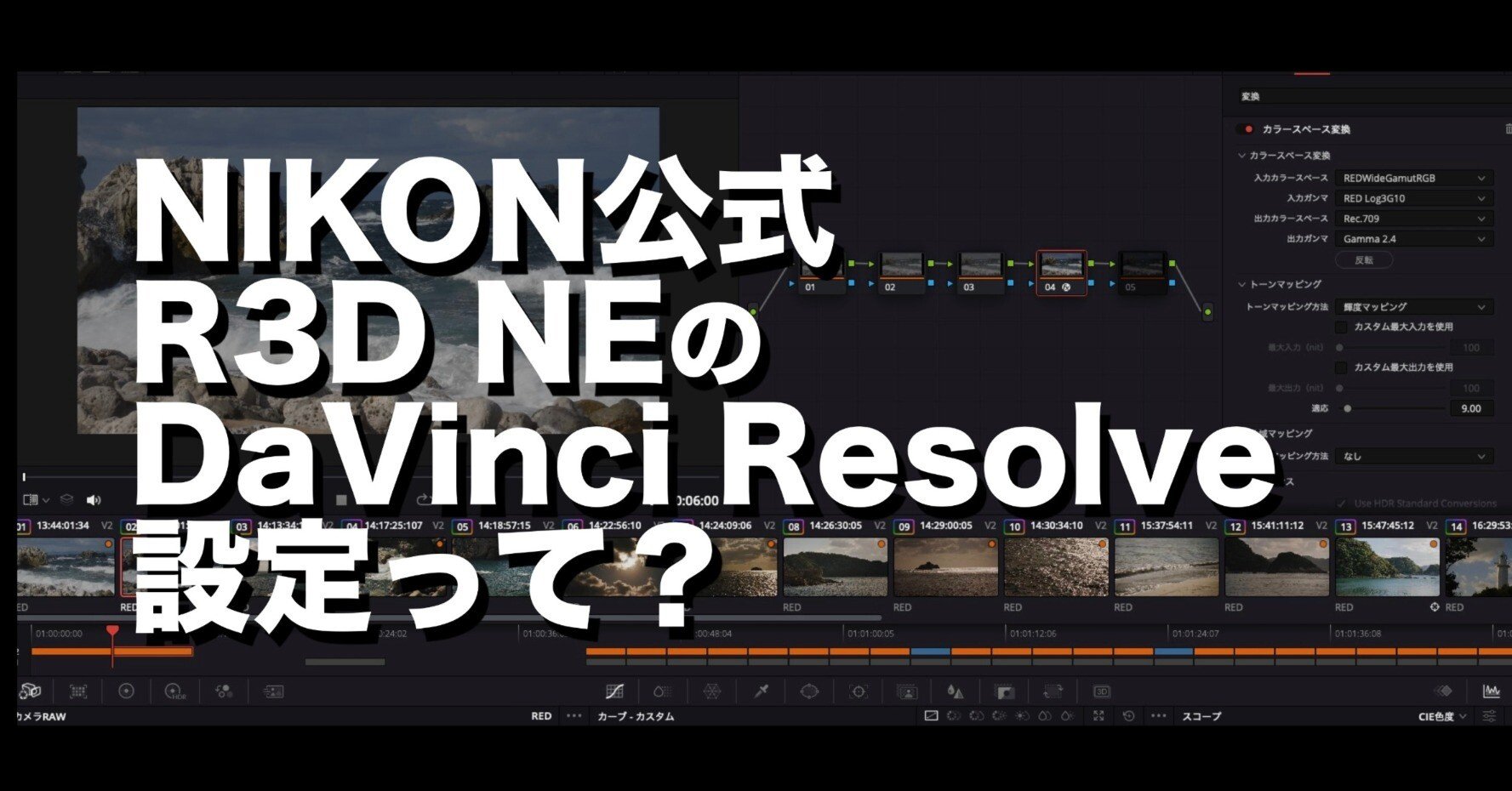 11 NIKON ZRのR3D NEの公式のDaVinci Resolve設定｜ミズノソウ |【Z