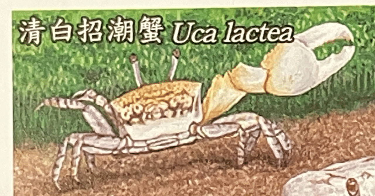 昔のものも今のものも、｜菜門アタロウザ