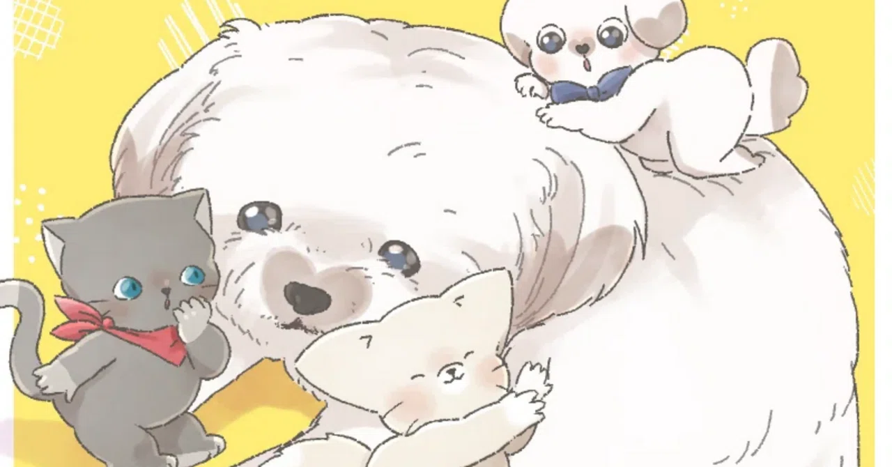 マルチーズ×ポメラニアン≠シーズー｜手前の向こう側