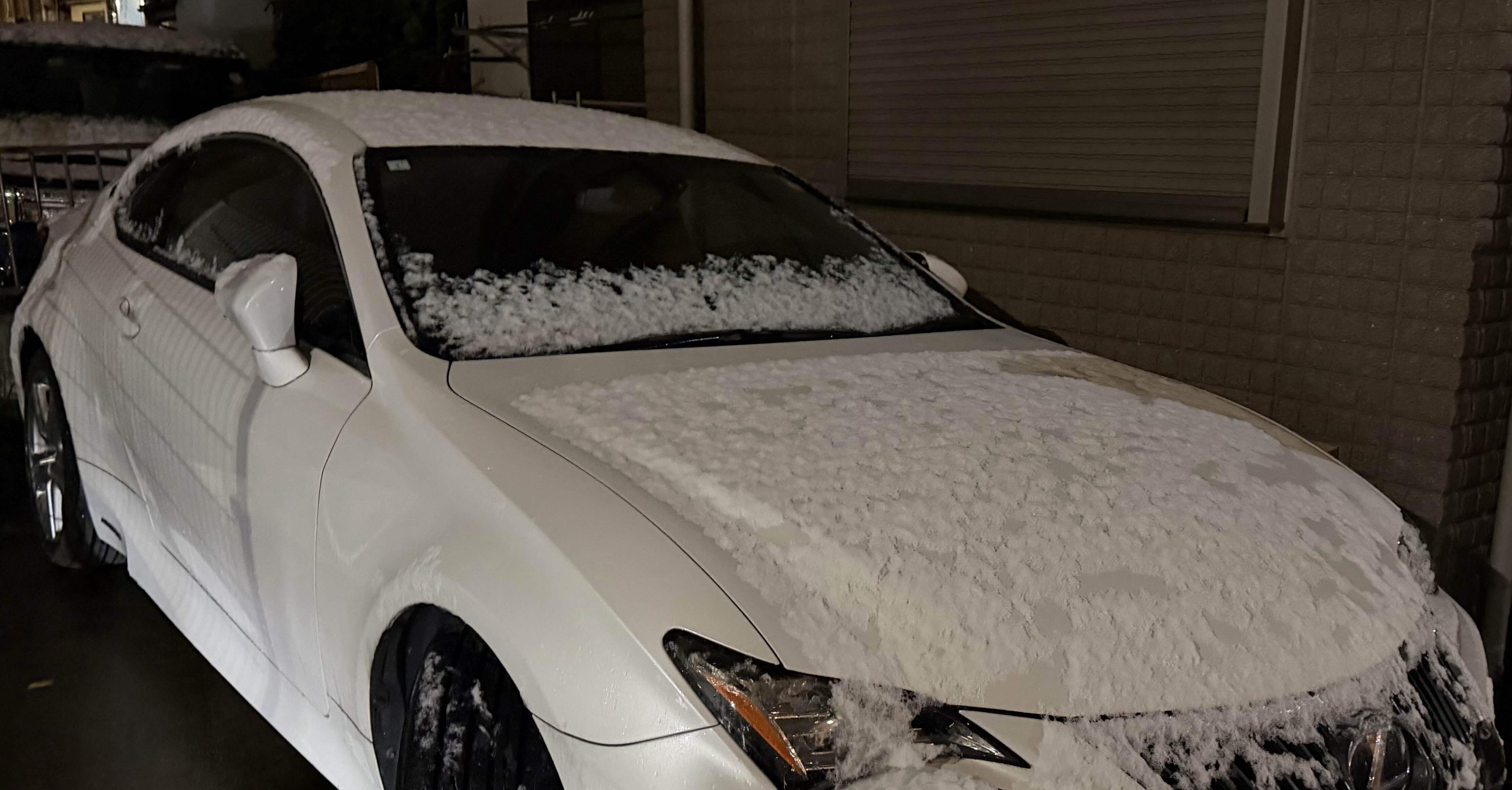 雑記 1507 2026年初めての雪｜yayayasu