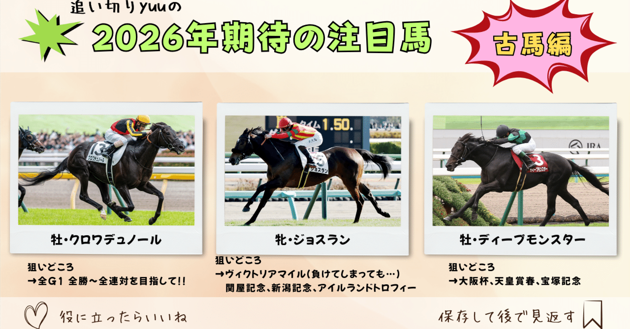 菊花賞からジャパンカップに出走した3歳馬の成績とその後の成績｜ぱねす