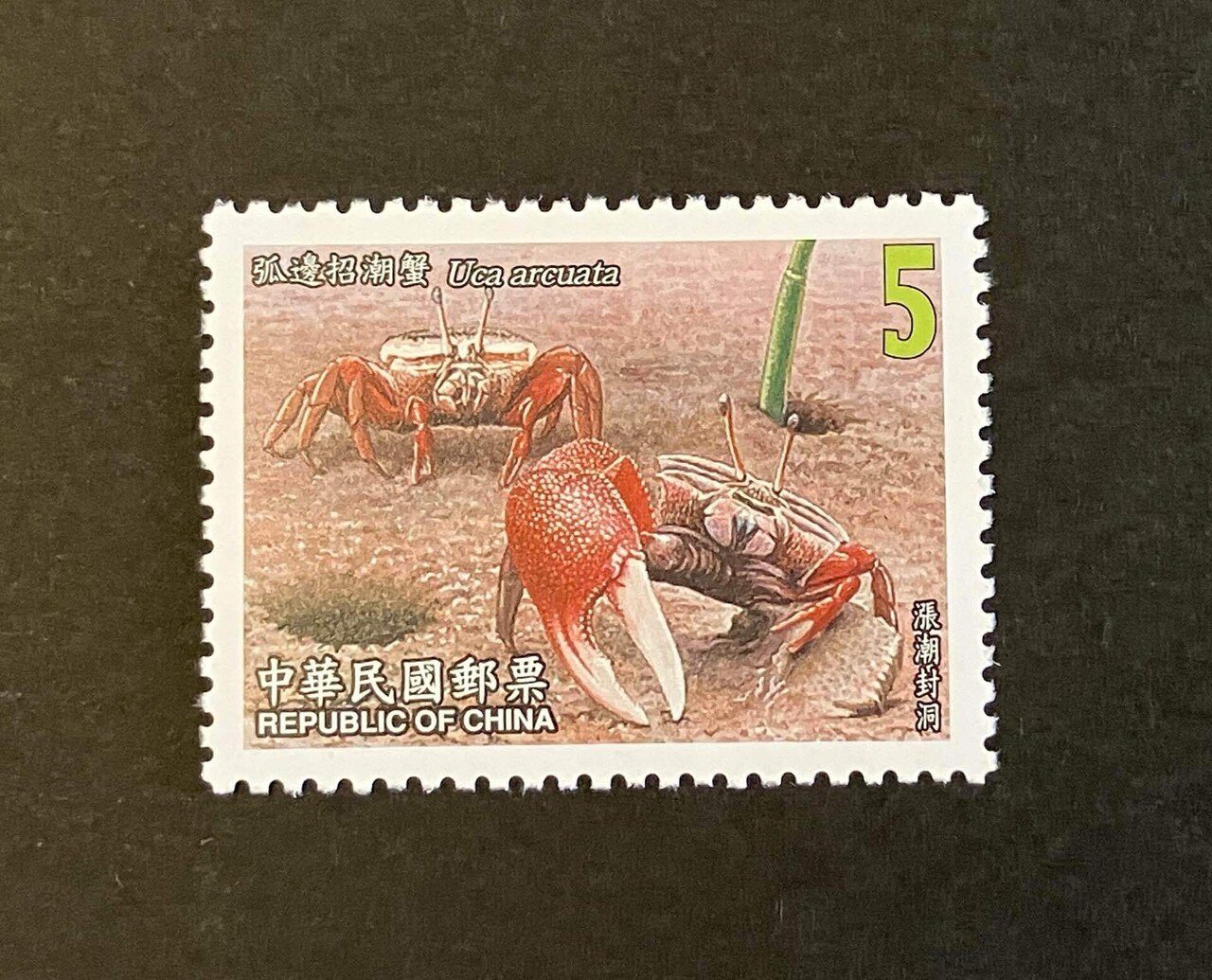 昔のものも今のものも、｜菜門アタロウザ