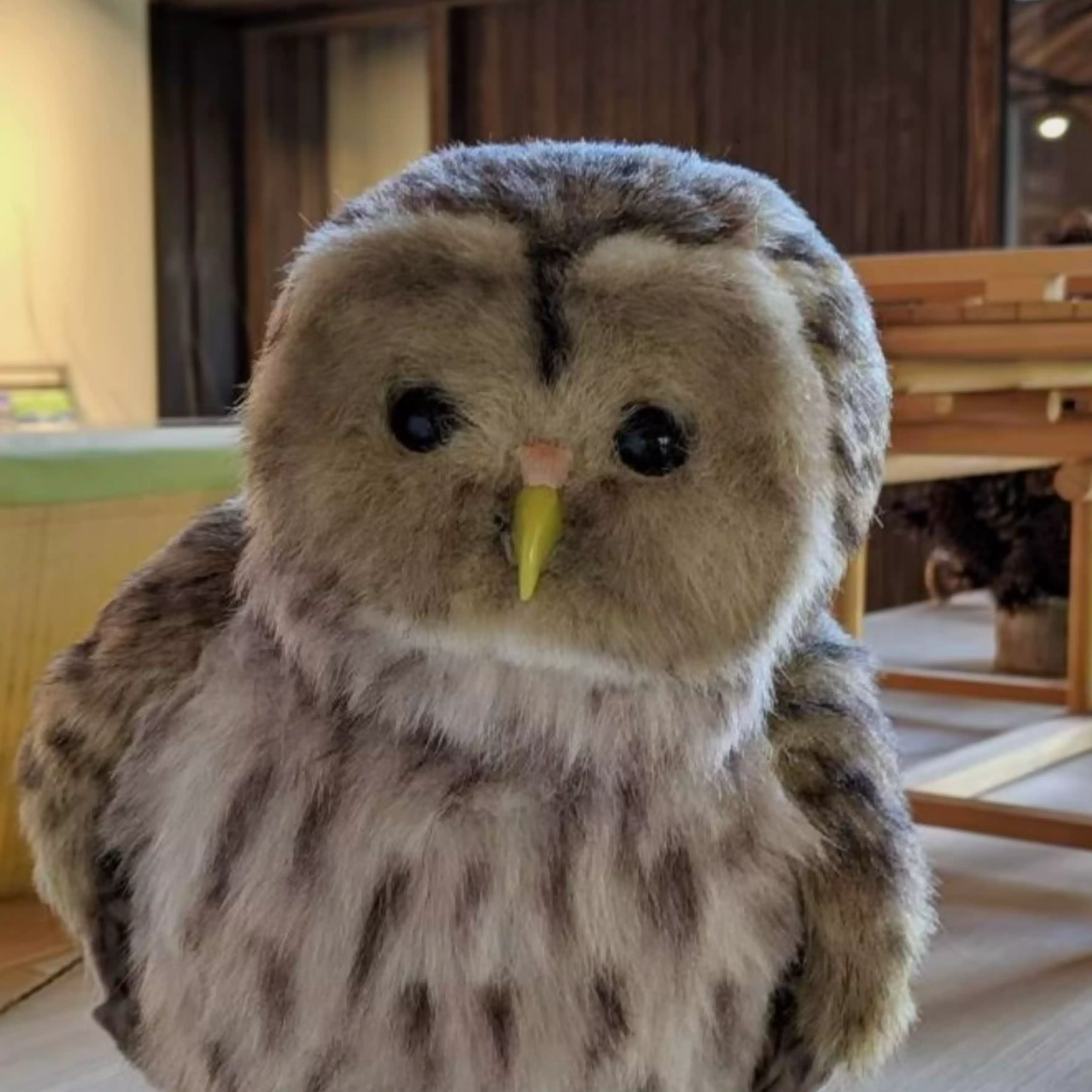 タンバリン｜保育歴32年