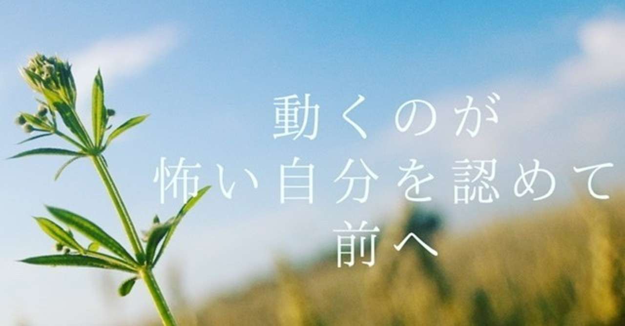 動くのが怖い自分を認めて前へ 和田かよこ Note