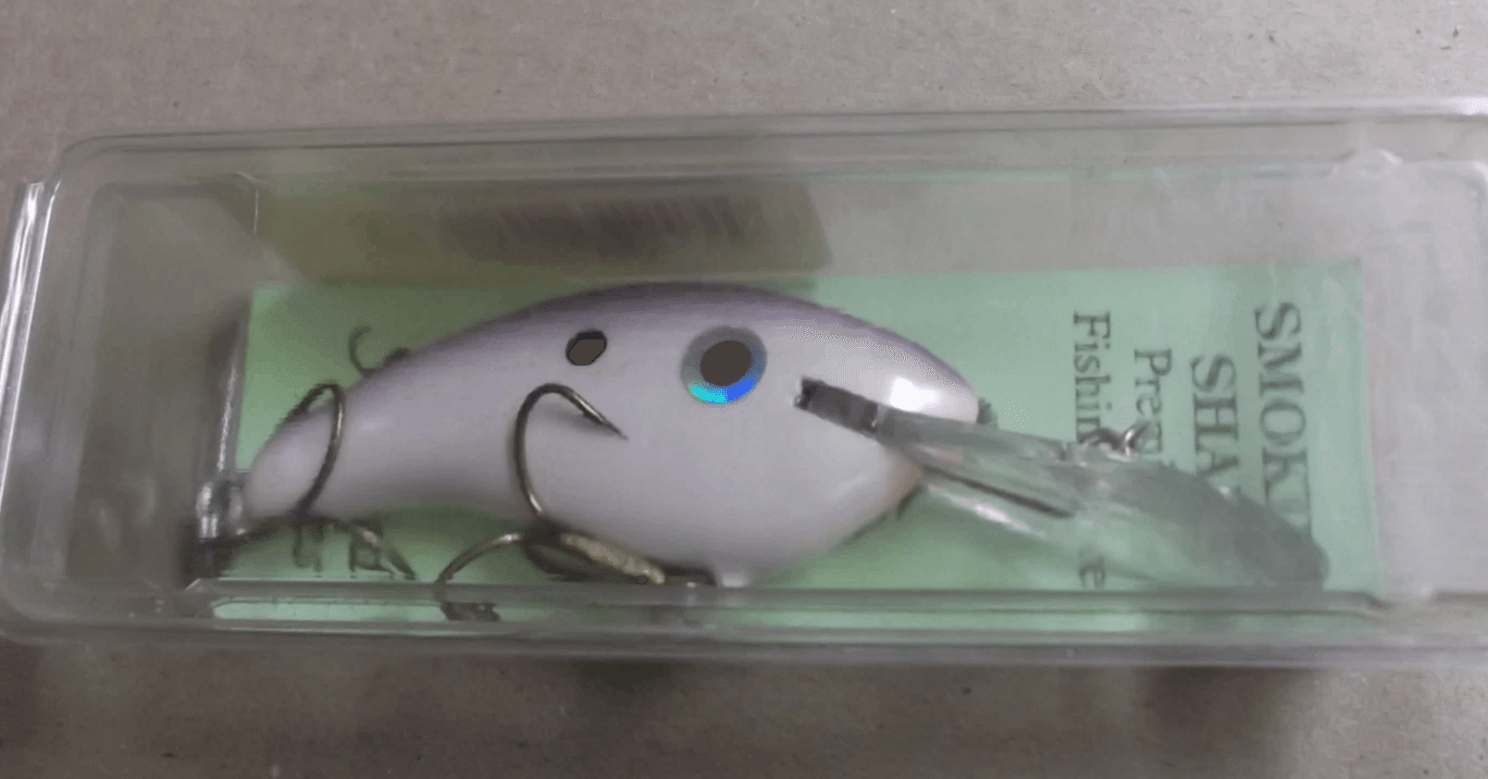 永久保存版】スタンフォードルアーズ 2005年公式アーカイブを公開