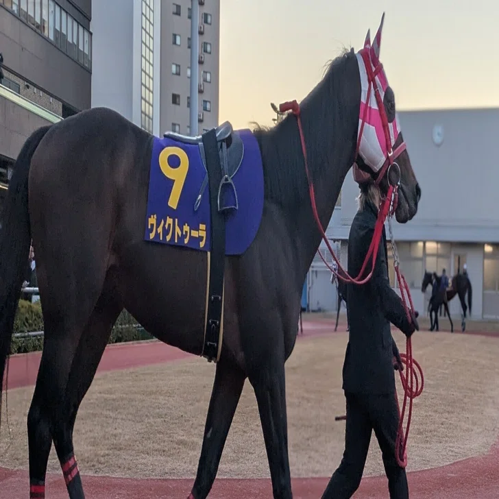 撃沈】 川崎競馬の正月開催に行ってきた｜Michi