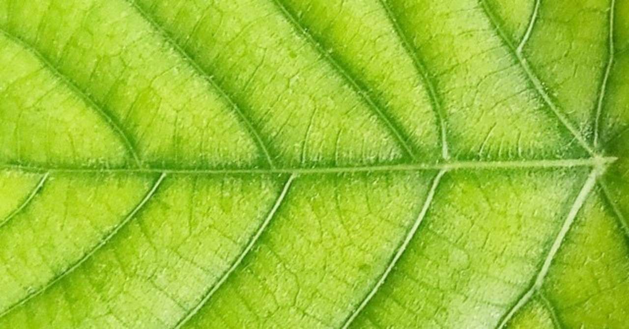 植物 の人気タグ記事一覧 Note つくる つながる とどける