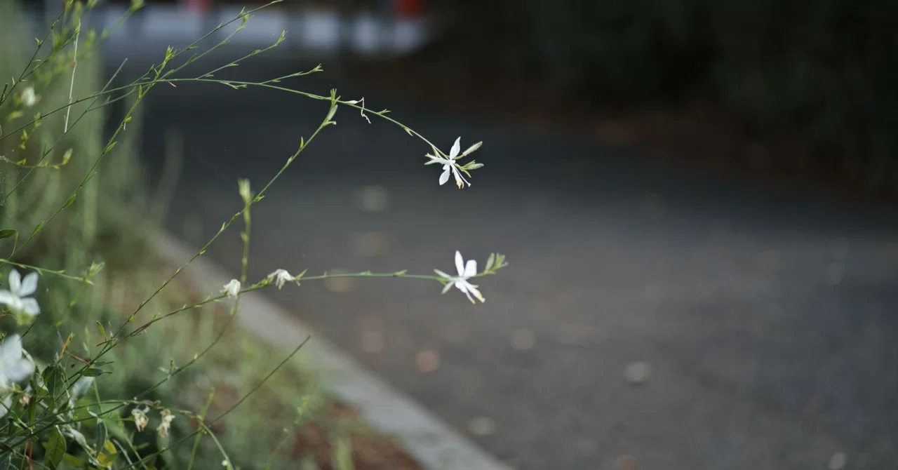 騒がしい世界の中で私たちがやるべきことの話|三浦さやか