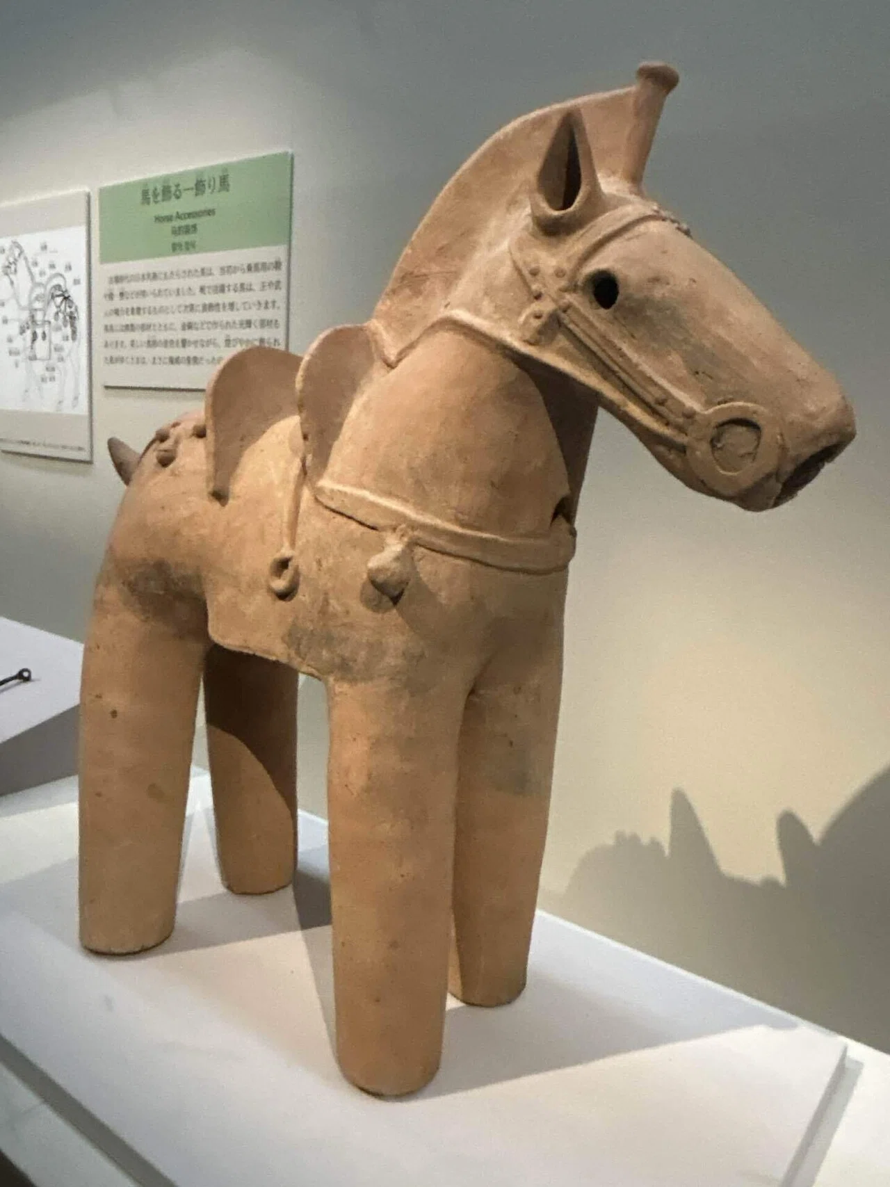毎日美術⭐︎東京国立博物館と馬｜もちもち
