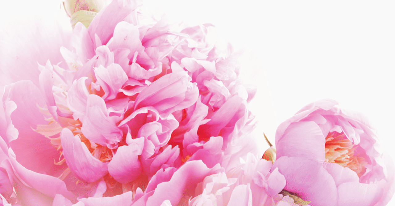Peonyとは Peony Note Peonyとは Peony Note