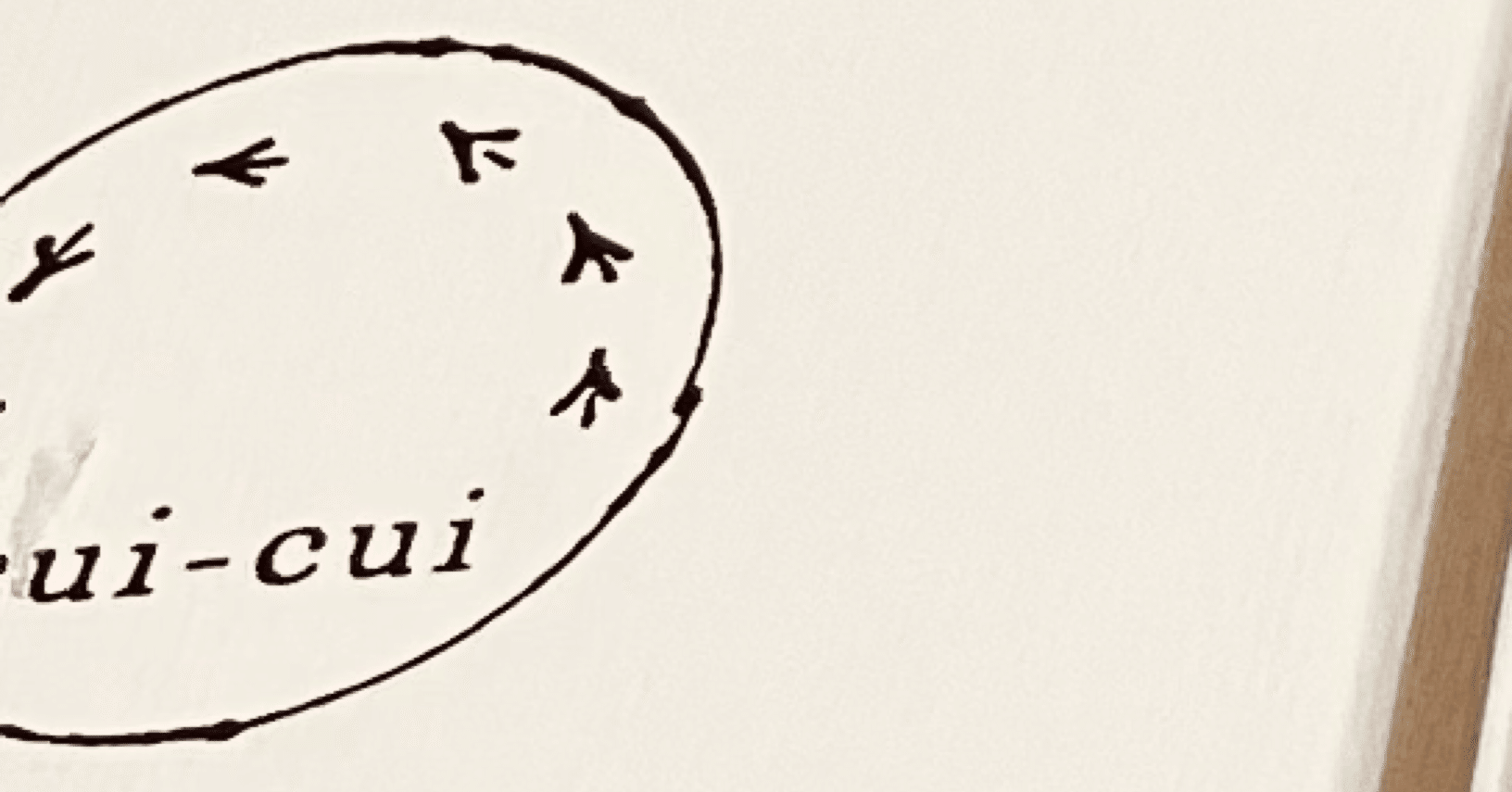 2026冬福袋④ cui-cui(キュイキュイ)：【福袋】2026 LUCKY BAG