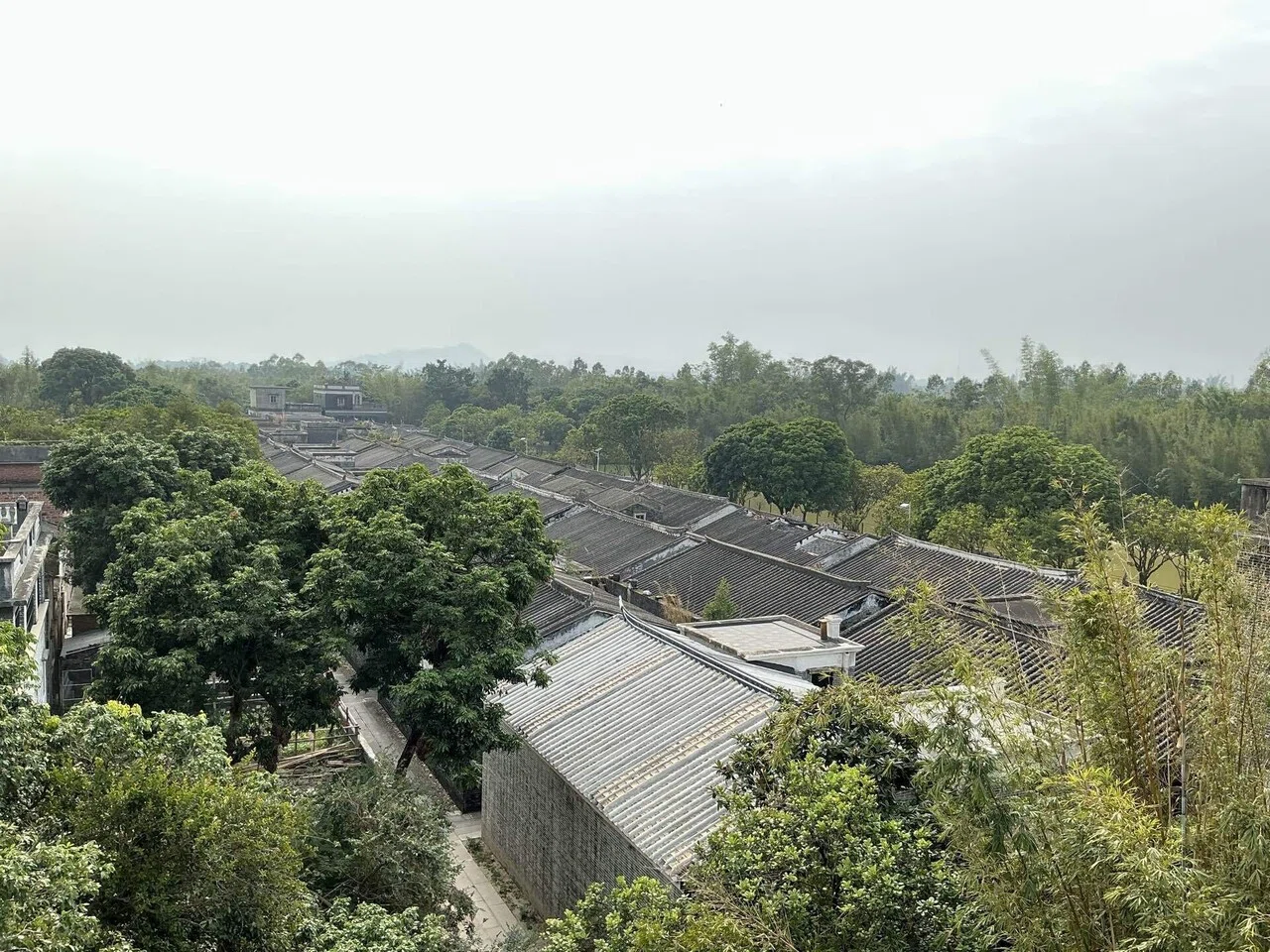 旅行記】「帰れない覚悟」が生んだ建築｜開平の望楼と華僑の歴史