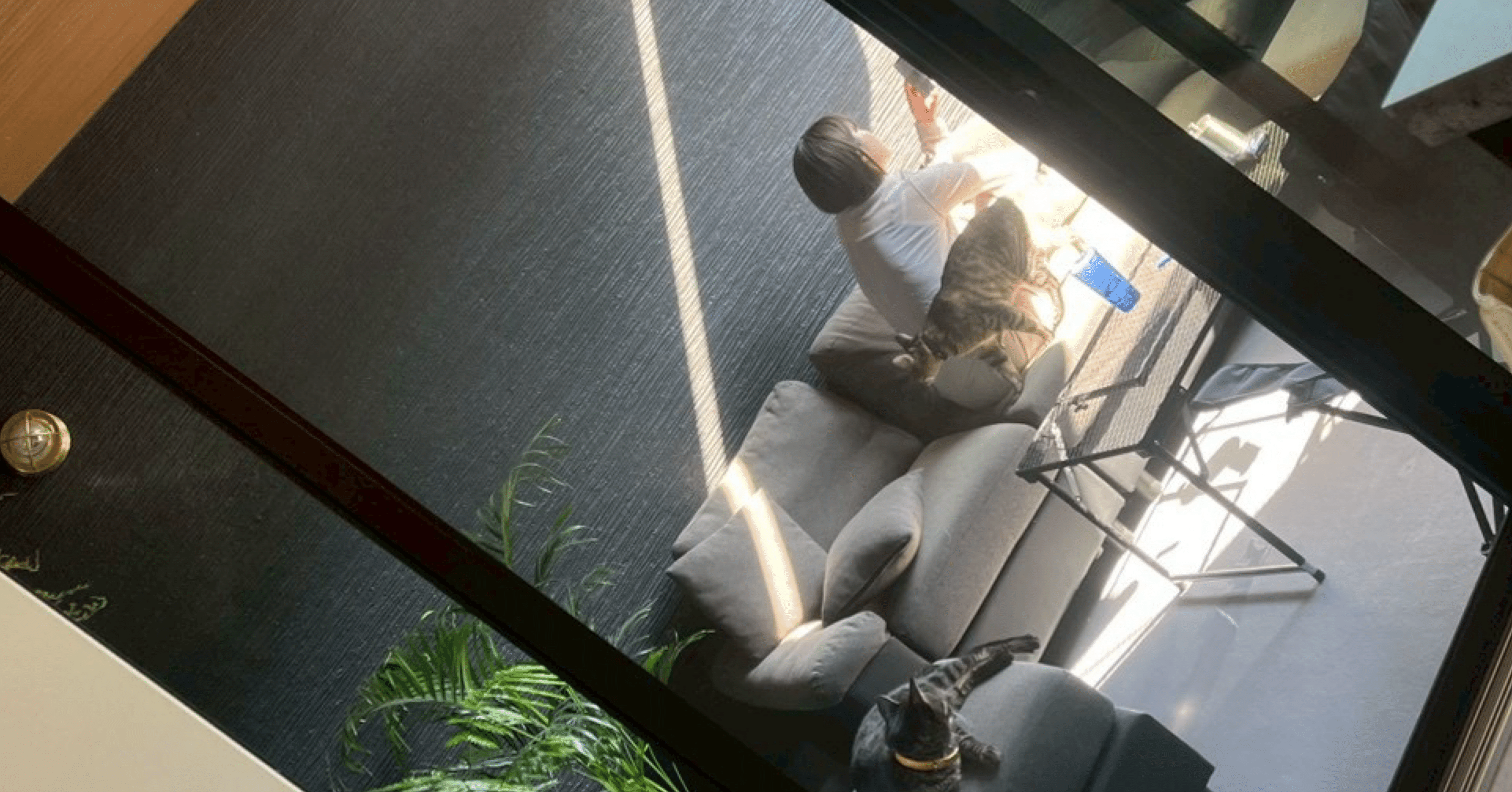 自己紹介】人生が一度崩れた私が「0から整え直したかった」理由｜まゆ