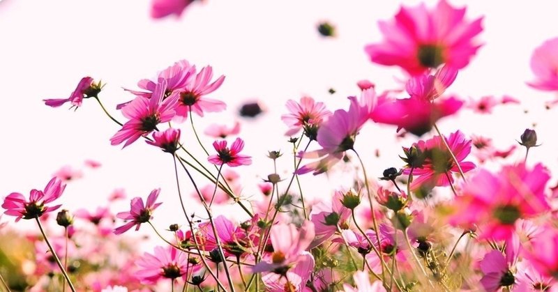 アーティスト と聞くと なぜ私たちは 歌手やバンドマンを思い浮かべてしまうのか みず吉 Note