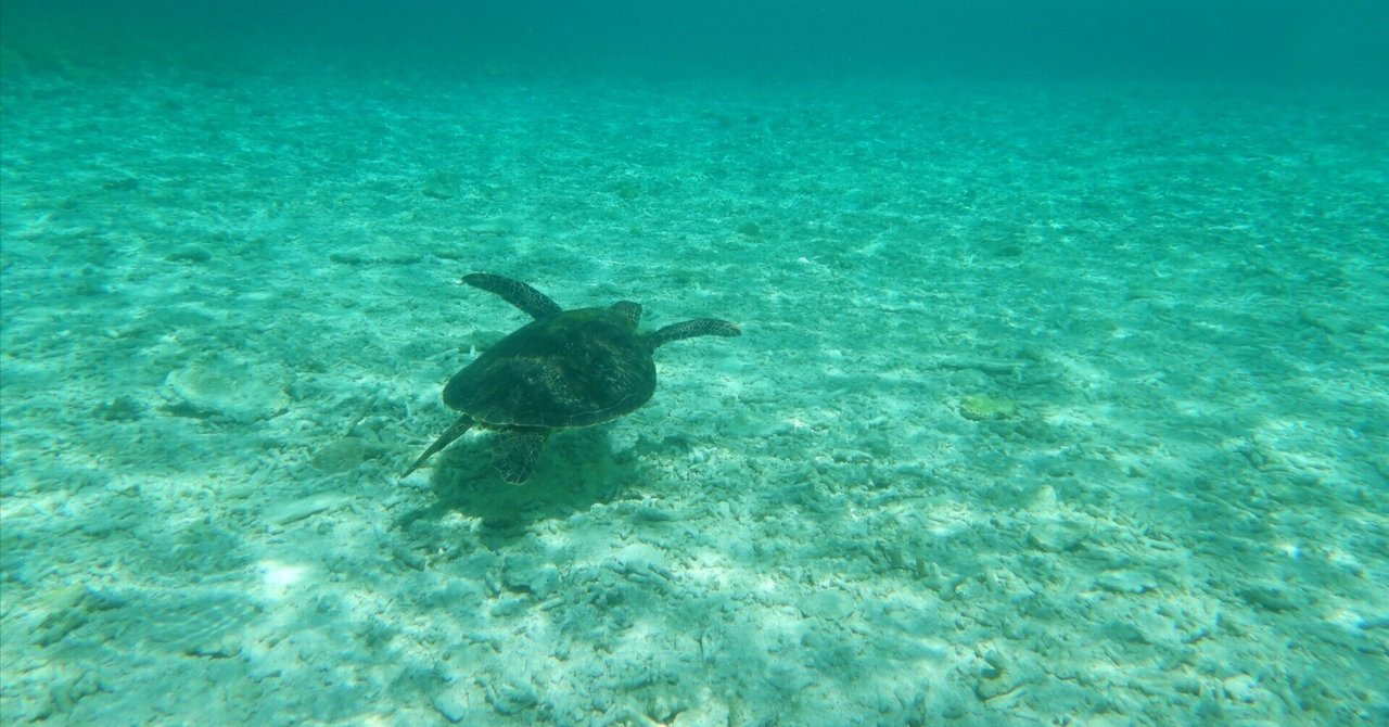 私の人生観〜人生は、自分という愛を、思い出すことへのチャレンジ〜　その１