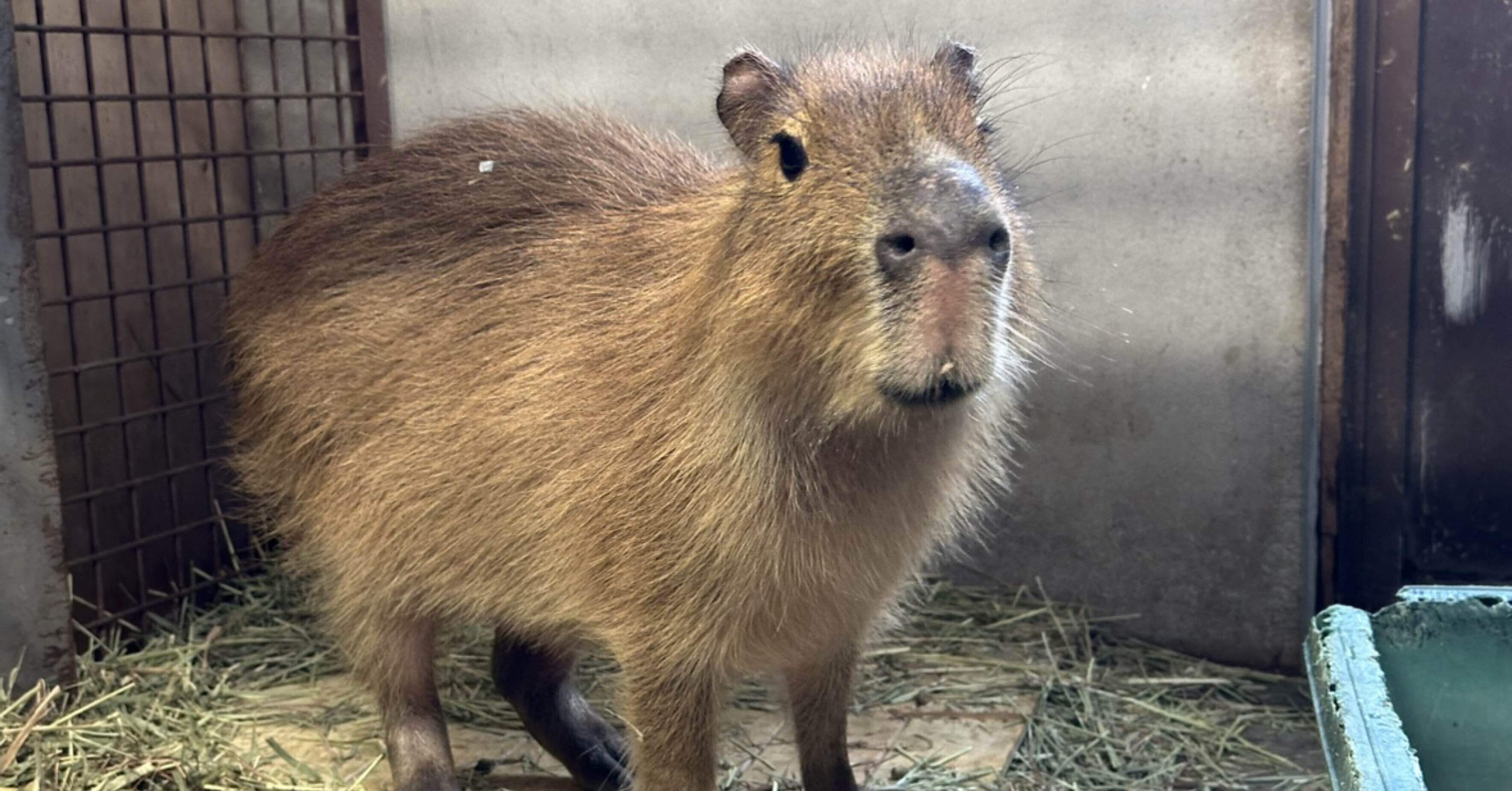 0dd7ce437836f20be2b8f55372aae0