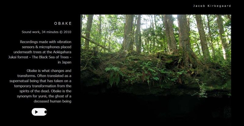 自殺の名所 青木ヶ原樹海で作品制作したアーティスト 自分に制限をかける知識について みじんことオーマ Note