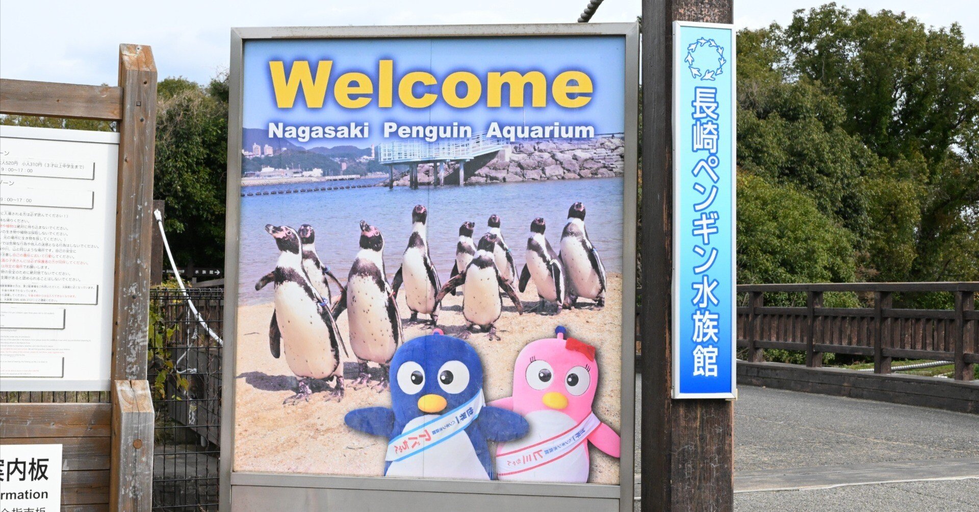20260101_長崎ペンギン水族館【Nikon Z50IIと水族館】｜山ネズミ