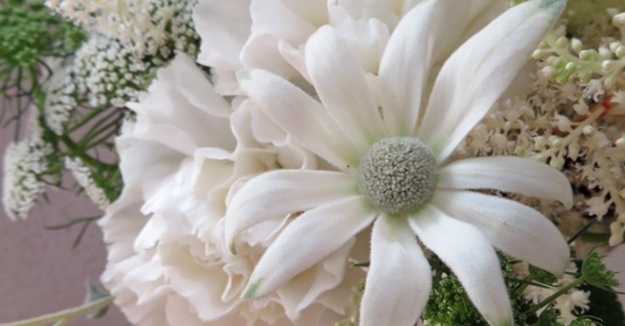 花材特徴まとめ フランネルフラワー 花と日々 Yas Note