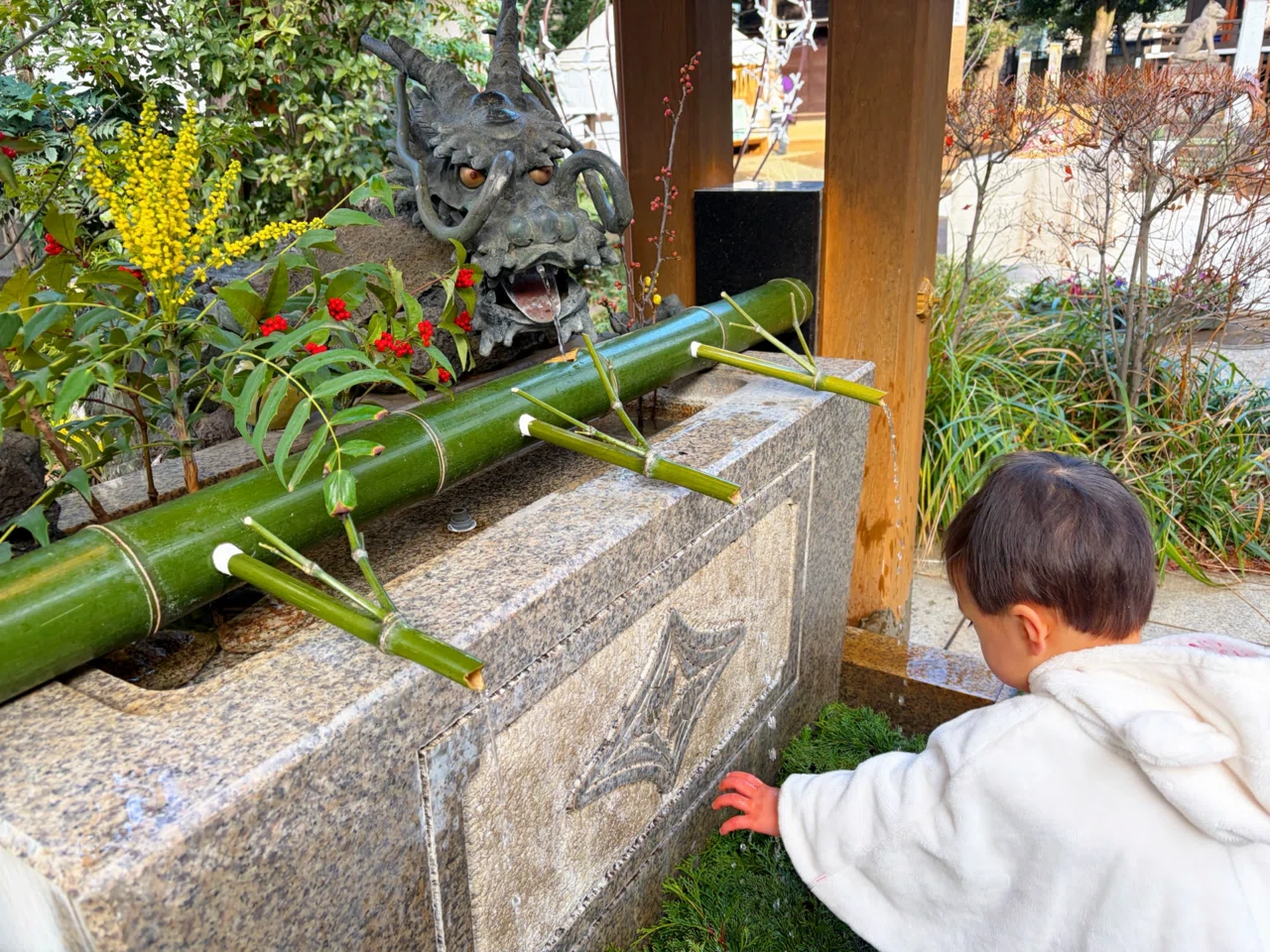 2026年正月】砧三峯神社・赤坂氷川神社・大国魂神社｜三社参りと祀